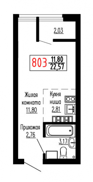 Студия №803