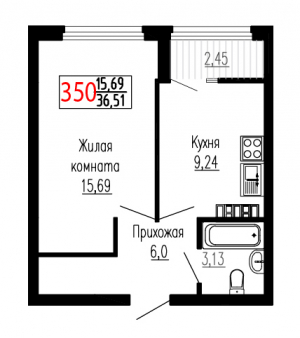 Однокомнатная №350