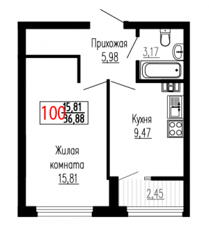 Однокомнатная №100