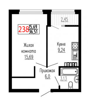 Однокомнатная №238