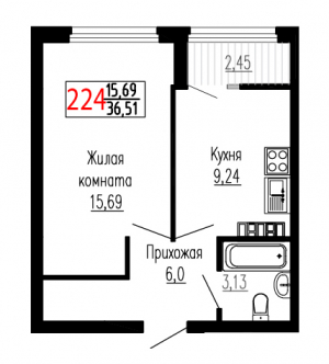Однокомнатная №224