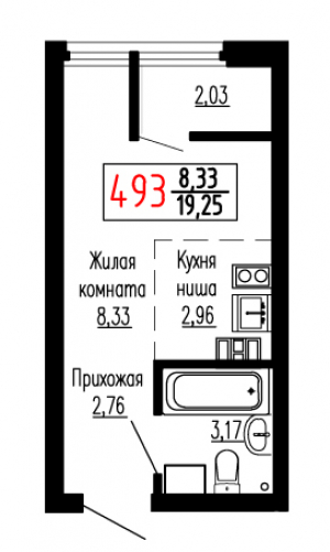Студия №493